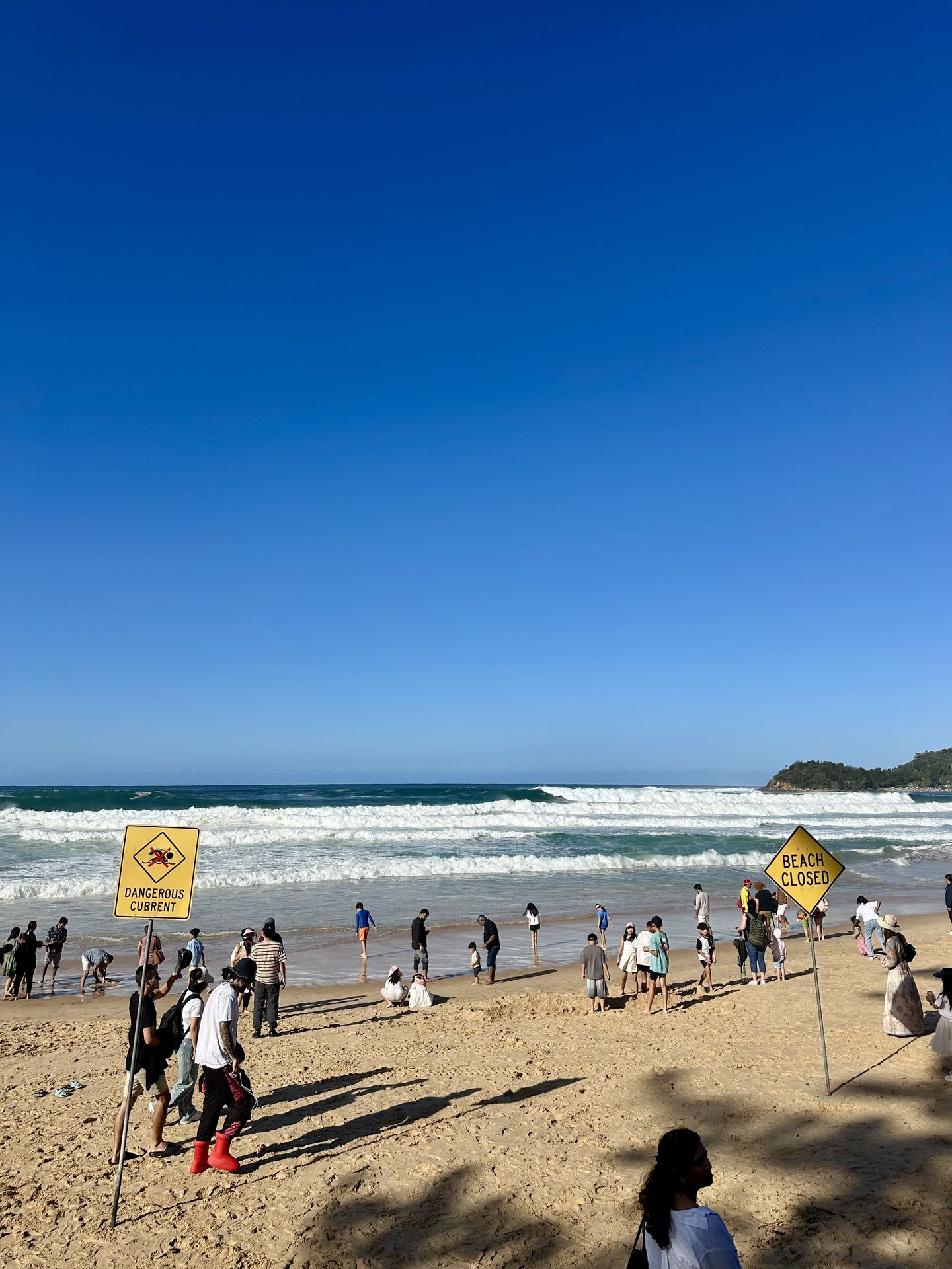 Manly Beach